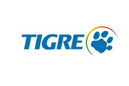 TIGRE-CORRETO
